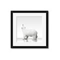 Picture of Singular Polar Bear _GroupedProduct_Square_Mini_ _GroupedProduct_Square_Framed_Matted_