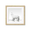 Picture of Singular Polar Bear _GroupedProduct_Square_Mini_ _GroupedProduct_Square_Framed_Matted_