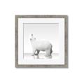 Picture of Singular Polar Bear _GroupedProduct_Square_Mini_ _GroupedProduct_Square_Framed_Matted_