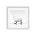 Picture of Singular Polar Bear _GroupedProduct_Square_Mini_ _GroupedProduct_Square_Framed_Matted_