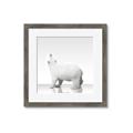 Picture of Singular Polar Bear _GroupedProduct_Square_Mini_ _GroupedProduct_Square_Framed_Matted_