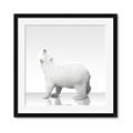 Picture of Singular Polar Bear _GroupedProduct_Square_Mini_ _GroupedProduct_Square_Framed_Matted_