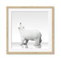 Picture of Singular Polar Bear _GroupedProduct_Square_Mini_ _GroupedProduct_Square_Framed_Matted_