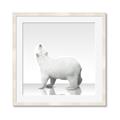 Picture of Singular Polar Bear _GroupedProduct_Square_Mini_ _GroupedProduct_Square_Framed_Matted_