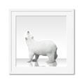 Picture of Singular Polar Bear _GroupedProduct_Square_Mini_ _GroupedProduct_Square_Framed_Matted_