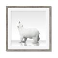 Picture of Singular Polar Bear _GroupedProduct_Square_Mini_ _GroupedProduct_Square_Framed_Matted_