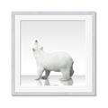 Picture of Singular Polar Bear _GroupedProduct_Square_Mini_ _GroupedProduct_Square_Framed_Matted_