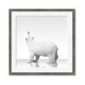 Picture of Singular Polar Bear _GroupedProduct_Square_Mini_ _GroupedProduct_Square_Framed_Matted_