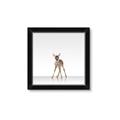 Picture of Singular Deer _GroupedProduct_Square_Mini_ _GroupedProduct_Square_Framed_Matted_