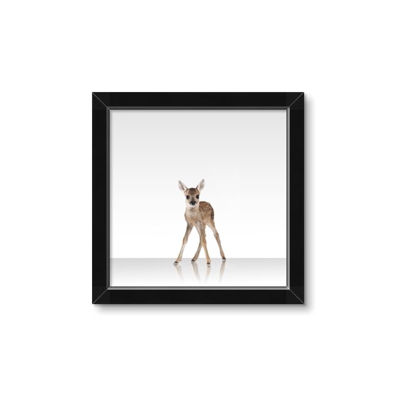 Picture of Singular Deer _GroupedProduct_Square_Mini_ _GroupedProduct_Square_Framed_Matted_
