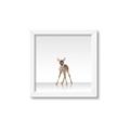 Picture of Singular Deer _GroupedProduct_Square_Mini_ _GroupedProduct_Square_Framed_Matted_