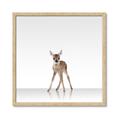 Picture of Singular Deer _GroupedProduct_Square_Mini_ _GroupedProduct_Square_Framed_Matted_