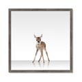 Picture of Singular Deer _GroupedProduct_Square_Mini_ _GroupedProduct_Square_Framed_Matted_