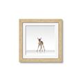 Picture of Singular Deer _GroupedProduct_Square_Mini_ _GroupedProduct_Square_Framed_Matted_