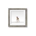 Picture of Singular Deer _GroupedProduct_Square_Mini_ _GroupedProduct_Square_Framed_Matted_