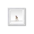 Picture of Singular Deer _GroupedProduct_Square_Mini_ _GroupedProduct_Square_Framed_Matted_