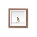 Picture of Singular Deer _GroupedProduct_Square_Mini_ _GroupedProduct_Square_Framed_Matted_