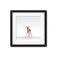 Picture of Singular Deer _GroupedProduct_Square_Mini_ _GroupedProduct_Square_Framed_Matted_