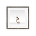 Picture of Singular Deer _GroupedProduct_Square_Mini_ _GroupedProduct_Square_Framed_Matted_