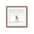 Picture of Singular Deer _GroupedProduct_Square_Mini_ _GroupedProduct_Square_Framed_Matted_