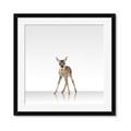Picture of Singular Deer _GroupedProduct_Square_Mini_ _GroupedProduct_Square_Framed_Matted_