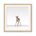 Picture of Singular Deer _GroupedProduct_Square_Mini_ _GroupedProduct_Square_Framed_Matted_