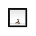 Picture of Singular Raccoon _GroupedProduct_Square_Mini_ _GroupedProduct_Square_Framed_Matted_