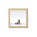 Picture of Singular Raccoon _GroupedProduct_Square_Mini_ _GroupedProduct_Square_Framed_Matted_