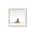 Picture of Singular Raccoon _GroupedProduct_Square_Mini_ _GroupedProduct_Square_Framed_Matted_