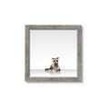Picture of Singular Raccoon _GroupedProduct_Square_Mini_ _GroupedProduct_Square_Framed_Matted_
