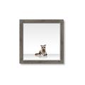 Picture of Singular Raccoon _GroupedProduct_Square_Mini_ _GroupedProduct_Square_Framed_Matted_