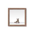 Picture of Singular Raccoon _GroupedProduct_Square_Mini_ _GroupedProduct_Square_Framed_Matted_