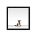 Picture of Singular Raccoon _GroupedProduct_Square_Mini_ _GroupedProduct_Square_Framed_Matted_