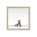 Picture of Singular Raccoon _GroupedProduct_Square_Mini_ _GroupedProduct_Square_Framed_Matted_