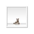 Picture of Singular Raccoon _GroupedProduct_Square_Mini_ _GroupedProduct_Square_Framed_Matted_