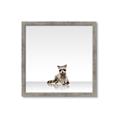 Picture of Singular Raccoon _GroupedProduct_Square_Mini_ _GroupedProduct_Square_Framed_Matted_