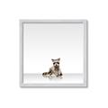 Picture of Singular Raccoon _GroupedProduct_Square_Mini_ _GroupedProduct_Square_Framed_Matted_