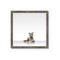 Picture of Singular Raccoon _GroupedProduct_Square_Mini_ _GroupedProduct_Square_Framed_Matted_