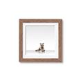 Picture of Singular Raccoon _GroupedProduct_Square_Mini_ _GroupedProduct_Square_Framed_Matted_