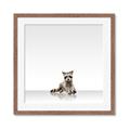 Picture of Singular Raccoon _GroupedProduct_Square_Mini_ _GroupedProduct_Square_Framed_Matted_