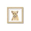 Picture of Lion Babe _GroupedProduct_Square_Mini_ _GroupedProduct_Square_Framed_Matted_