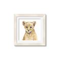 Picture of Lion Babe _GroupedProduct_Square_Mini_ _GroupedProduct_Square_Framed_Matted_