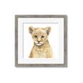 Picture of Lion Babe _GroupedProduct_Square_Mini_ _GroupedProduct_Square_Framed_Matted_