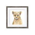 Picture of Lion Babe _GroupedProduct_Square_Mini_ _GroupedProduct_Square_Framed_Matted_