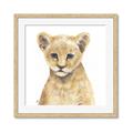 Picture of Lion Babe _GroupedProduct_Square_Mini_ _GroupedProduct_Square_Framed_Matted_