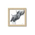 Picture of Mom and baby Zebra _GroupedProduct_Square_Mini_ _GroupedProduct_Square_Framed_Matted_