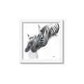 Picture of Mom and baby Zebra _GroupedProduct_Square_Mini_ _GroupedProduct_Square_Framed_Matted_