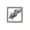 Picture of Mom and baby Zebra _GroupedProduct_Square_Mini_ _GroupedProduct_Square_Framed_Matted_