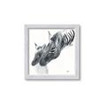 Picture of Mom and baby Zebra _GroupedProduct_Square_Mini_ _GroupedProduct_Square_Framed_Matted_