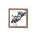 Picture of Mom and baby Zebra _GroupedProduct_Square_Mini_ _GroupedProduct_Square_Framed_Matted_